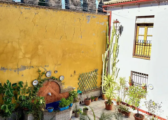 Διαμέρισμα El Patio De Wallada Κόρδοβα